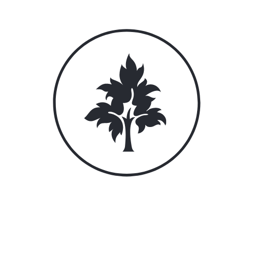 High Mountain logo